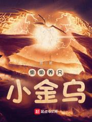 偷偷养只小金乌评价